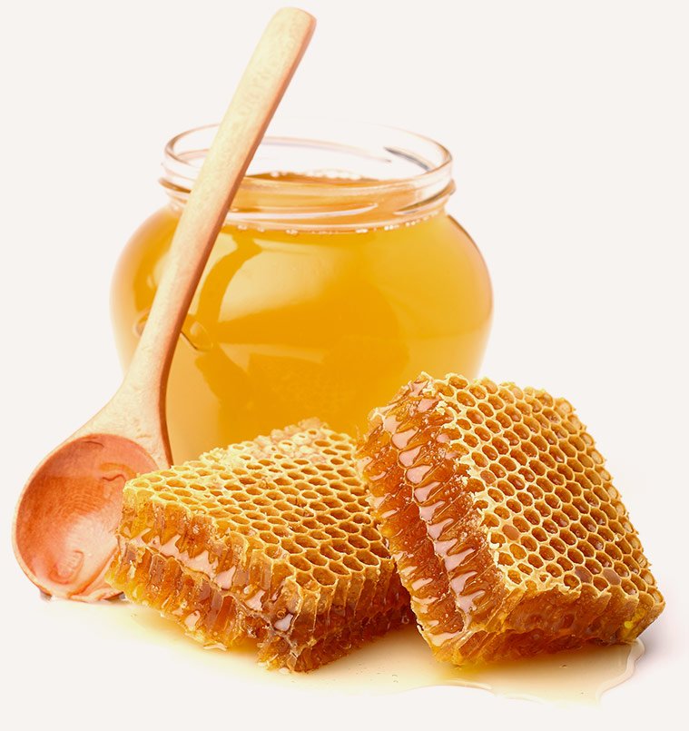 Best Honey in UAE – Buy Pure Organic Honey Online Dubai